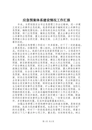 应急处置预案体系建设情况工作汇报 