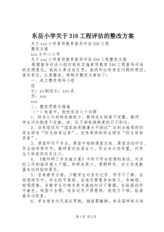 东岳小学关于316工程评估的整改实施方案 