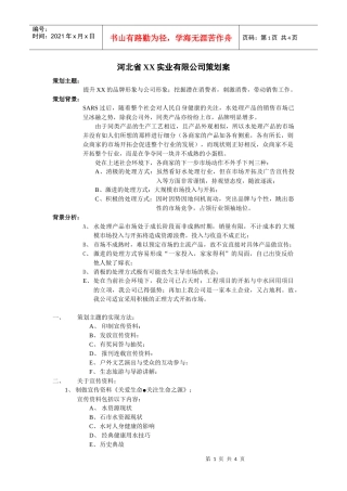 河北省xx实业有限公司策划案