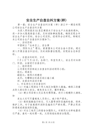 安全生产自查自纠实施方案(样) 