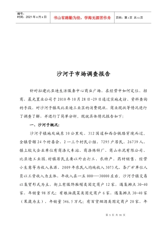 沙河子市场调查报告样本