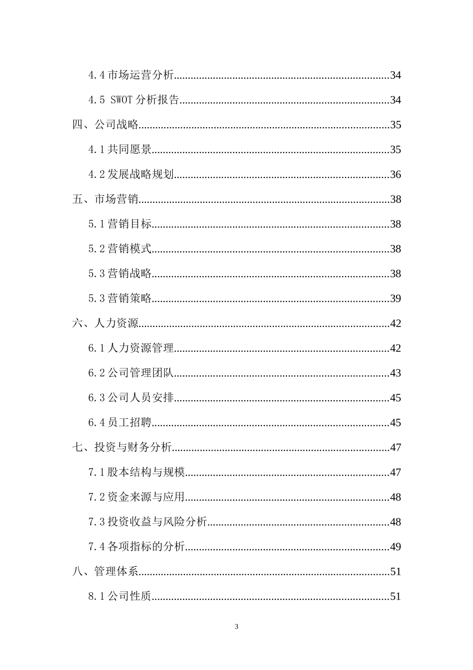 汽车梦工厂创业计划书_第3页