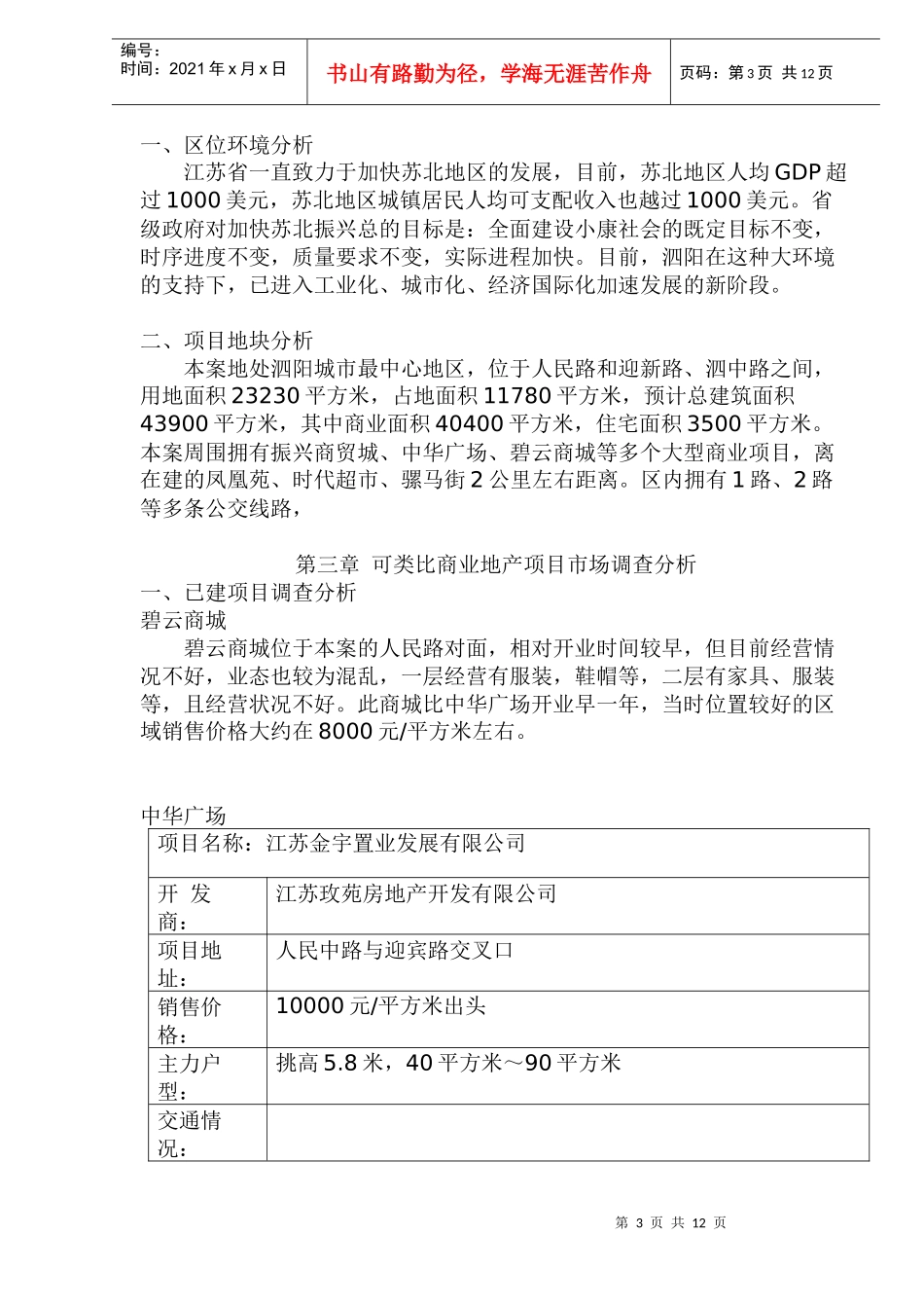 泗阳商业项目定位报告(1)_第3页