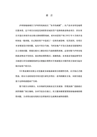 泸州某商城项目策划方案