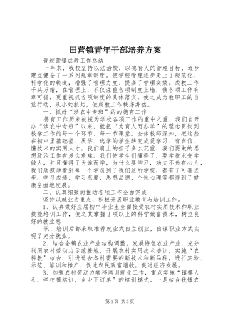 田营镇青年干部培养实施方案 