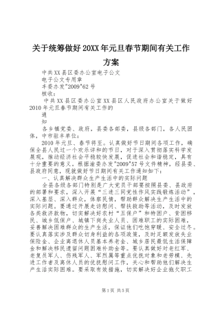 关于统筹做好20XX年元旦春节期间有关工作实施方案 (4)