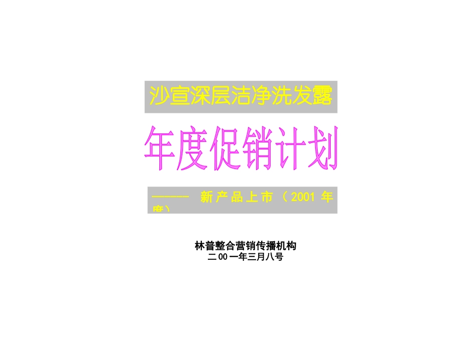 沙宣深层洁净洗发露年度促销计划_第1页