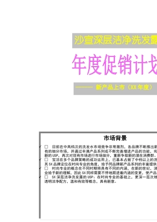 洗发露新产品上市年度促销计划