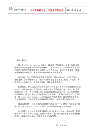 流量工程介绍与配置