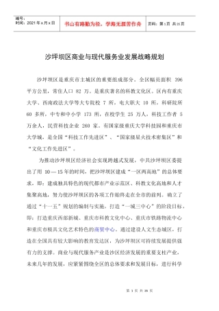 沙坪坝区商业发展战略