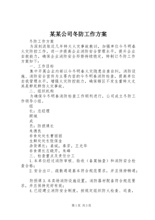 某某公司冬防工作实施方案 