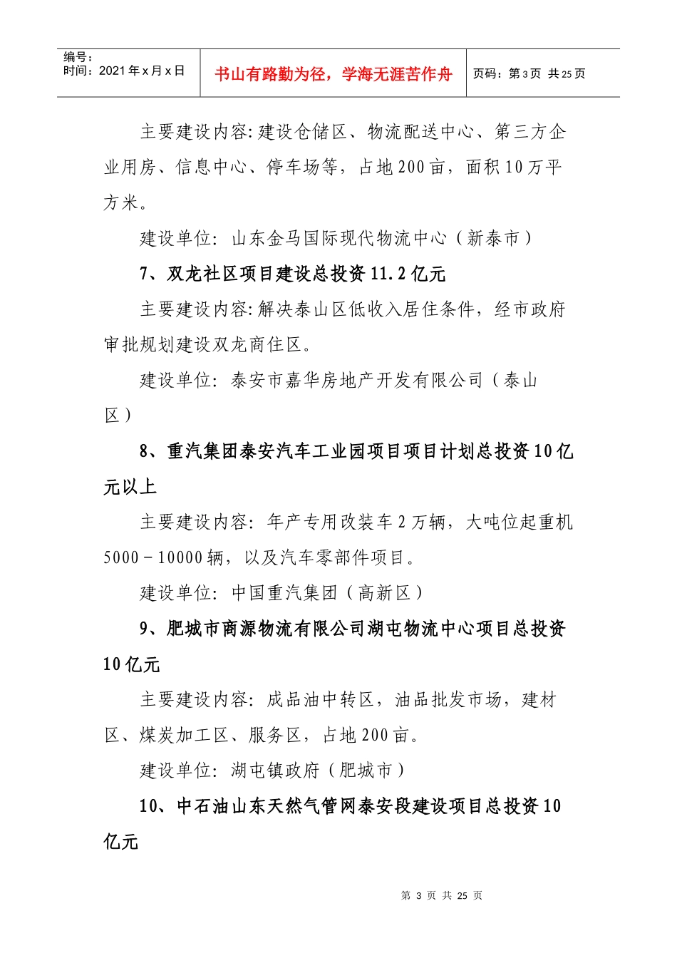 泰安09重点项目_第3页