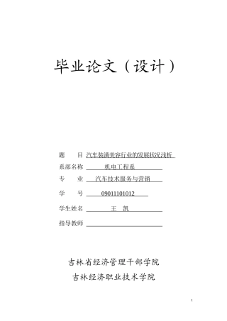 浅议汽车装潢美容行业的发展状况-王凯