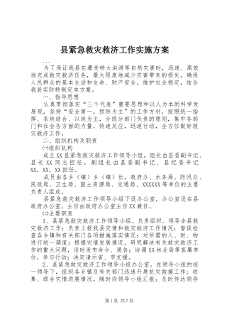 县紧急救灾救济工作方案 