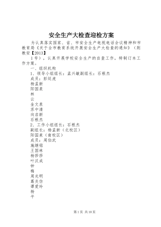 安全生产大检查迎检实施方案 