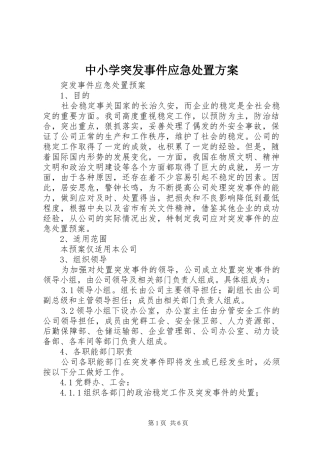 中小学突发事件应急处置实施方案 
