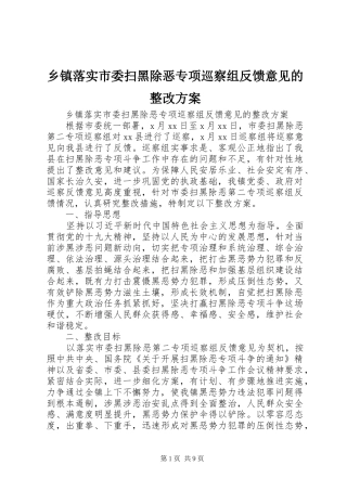 乡镇落实市委扫黑除恶专项巡察组反馈意见的整改实施方案 