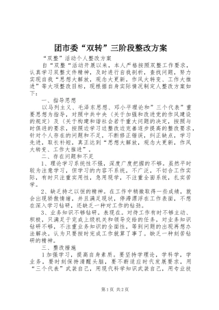 团市委“双转”三阶段整改实施方案 