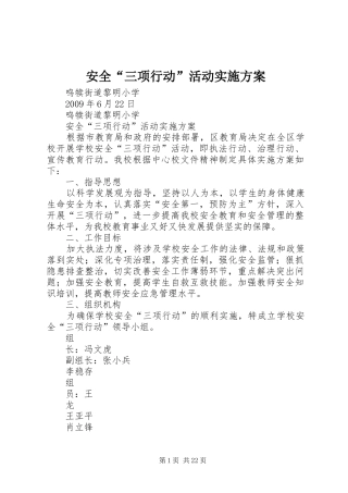 安全“三项行动”活动方案 