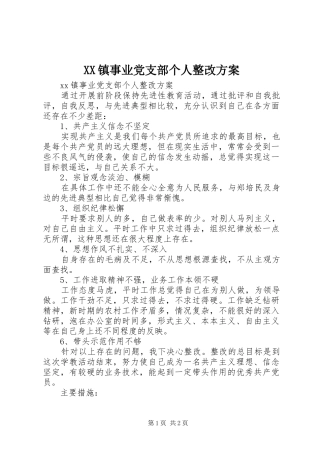 XX镇事业党支部个人整改实施方案 