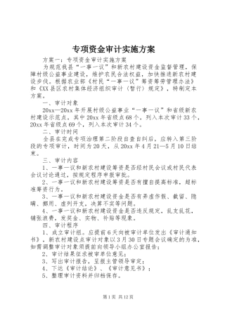 专项资金审计方案 