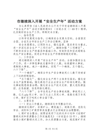 市继续深入开展“安全生产年”活动实施方案 