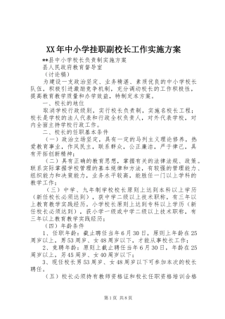 XX年中小学挂职副校长工作方案 