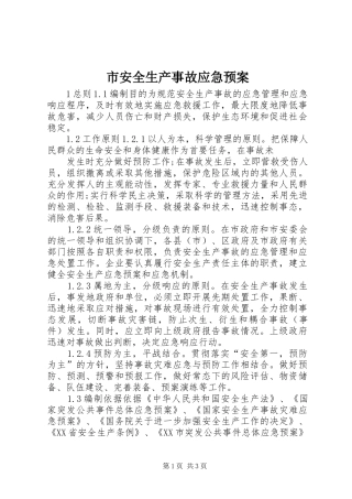 市安全生产事故应急处置预案 