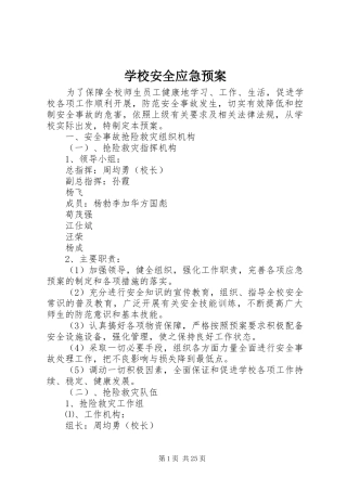 学校安全应急处置预案 (25)