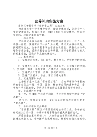 营养补助方案 
