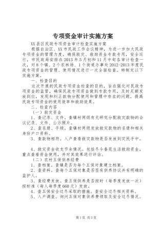 专项资金审计方案_2