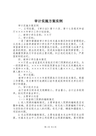 审计方案实例 
