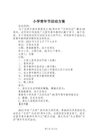 小学青年节活动实施方案 