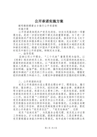公开承诺方案 