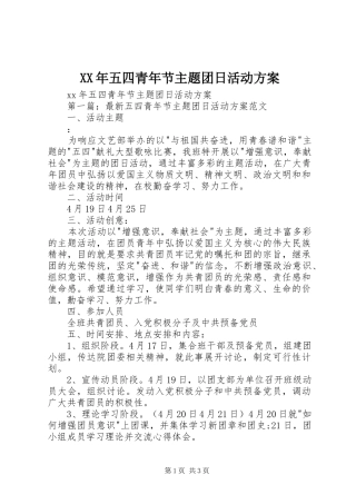 XX年五四青年节主题团日活动实施方案 