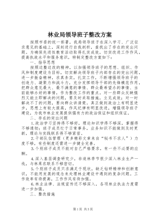 林业局领导班子整改实施方案 