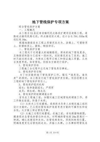 地下管线保护专项实施方案 