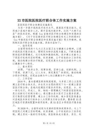 XX市医院医院医疗联合体工作方案 