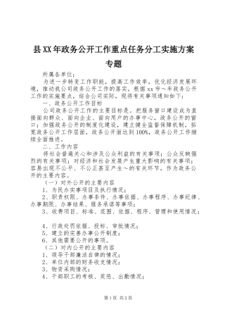 县XX年政务公开工作重点任务分工方案专题 