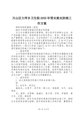 万山区大坪乡卫生院20XX年雪灾救灾防病工作实施方案 (3)