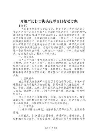 开展严历打击街头犯罪百日行动实施方案 