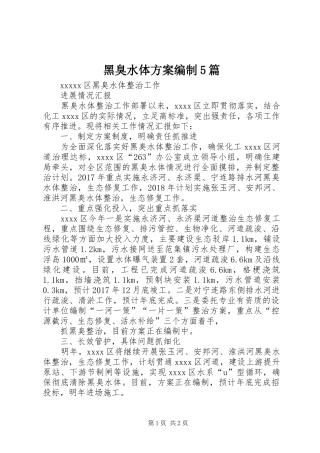 黑臭水体实施方案编制5篇 