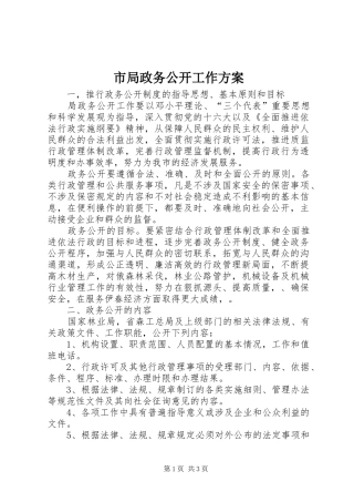 市局政务公开工作方案