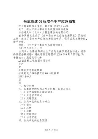 岳武高速09标安全生产应急预案