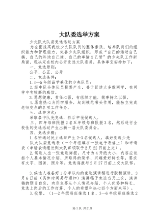 大队委选举实施方案 