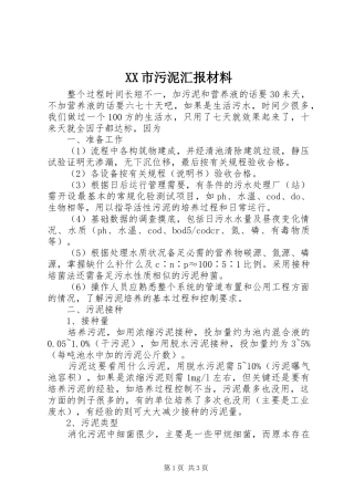 XX市污泥汇报材料 