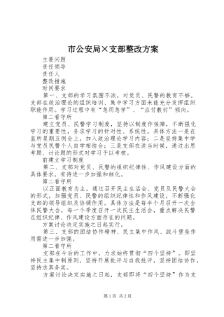 市公安局×支部整改实施方案 