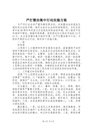 严打整治集中行动方案 