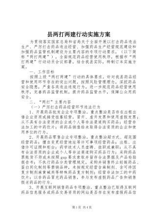 县两打两建行动实施方案