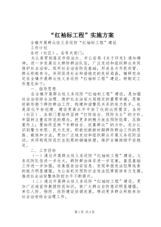 “红袖标工程”方案 